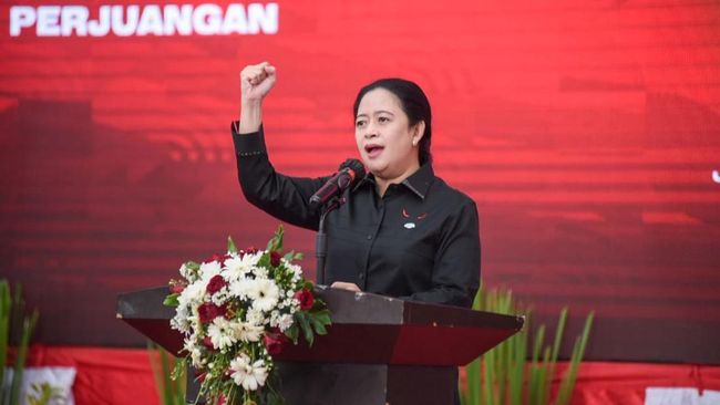 Mengenal Profil Puan Maharani: Wajah Perempuan dalam Politik Nasional dan Internasional