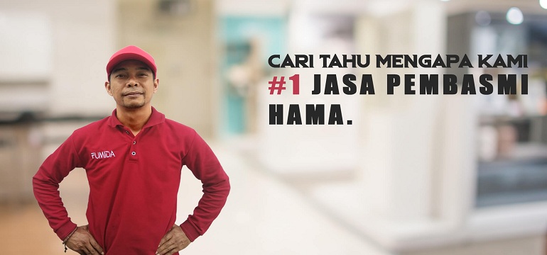 Basmi Tuntas Rayap Tanpa Sisa dengan Jasa Anti Rayap Terpercaya