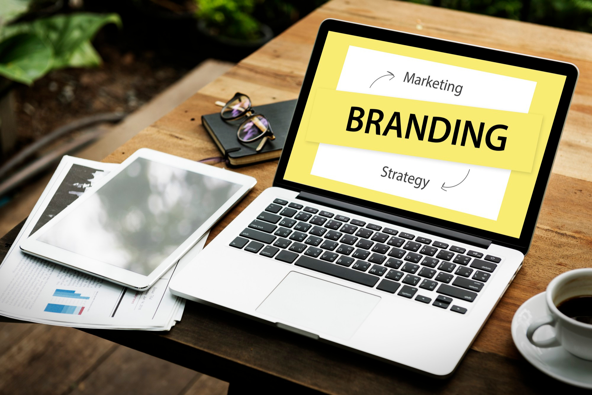 Panduan Lengkap Memulai Branding dan Marketing untuk Startup