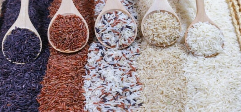 Peringati Hari Pangan Dunia, Ini Deretan Kuliner Indonesia Berbahan Dasar Beras