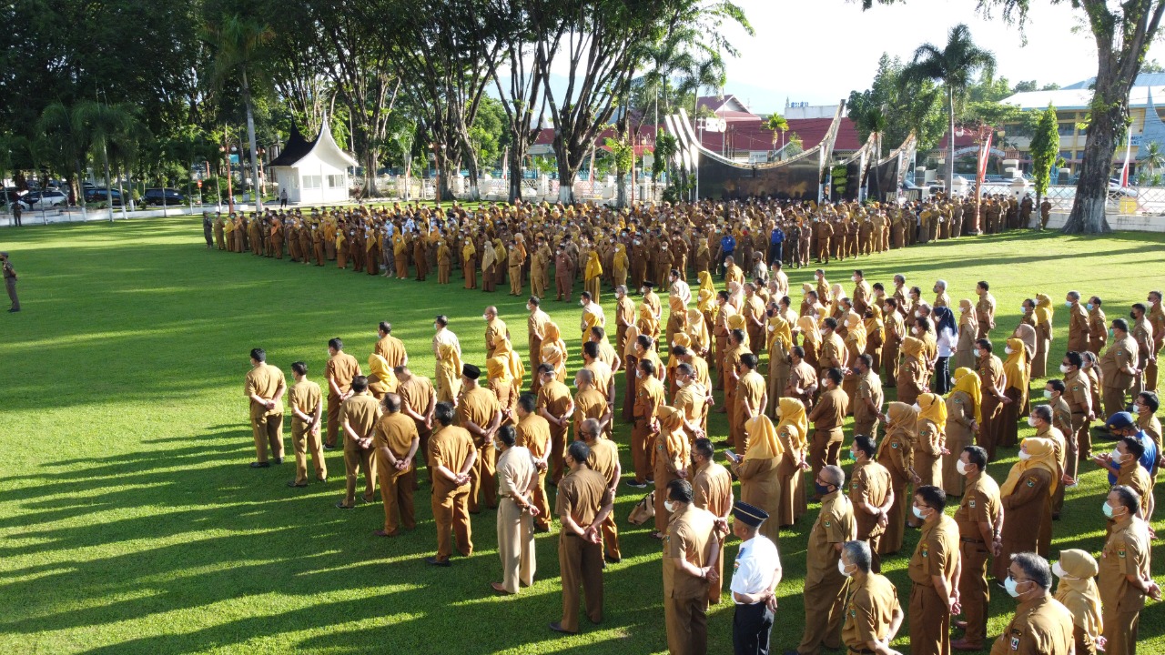 Forum Diskusi CPNS: Memanfaatkan Diskusi untuk Meningkatkan Peluang Lolos