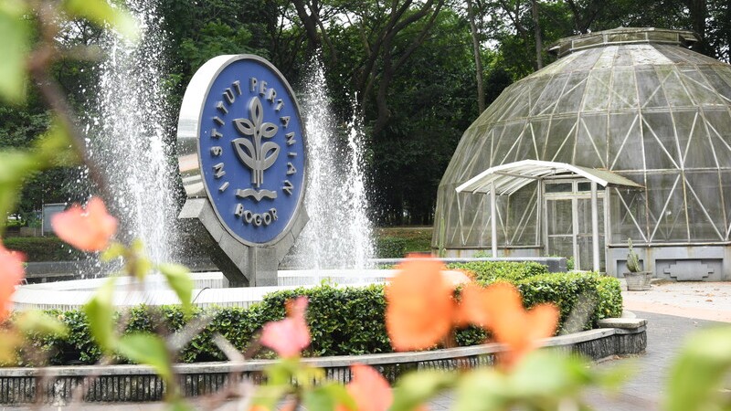 Hasil Seleksi IPB: Waktu Pengumuman dan Apa yang Harus Dilakukan Setelahnya