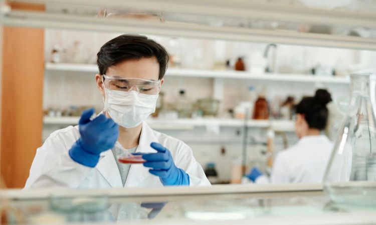 Tips Lolos Seleksi Masuk Fakultas Farmasi Universitas Sumatera Utara 2026