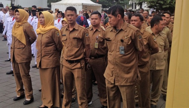 Syarat Umum CPNS 2025 untuk Lulusan SMA, D3, S1, dan S2