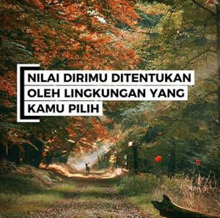 Sebaik Apapun Dirimu Jika Kamu Berada di Tempat yang Salah, Kau Tak Akan Pernah Terlihat Berguna