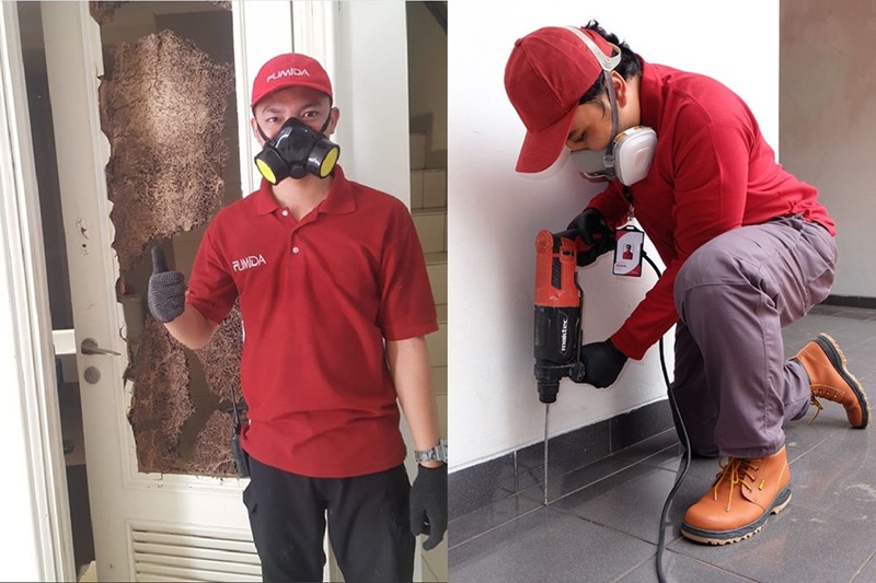 Jangan Sepelekan Serangan Rayap di Rumah